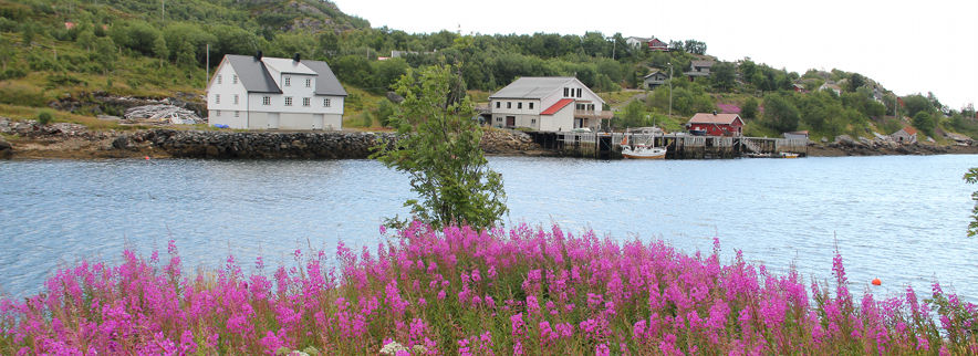 Gefuehrte-Wanderungen-Lofoten-2012_Renato-Botte.jpg