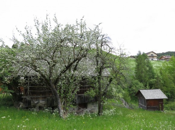 Wanderführerausbildung 2013 in Neustift / Südtirol