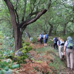 Wanderungen an der Algarve / Wandern unter Korkeichen