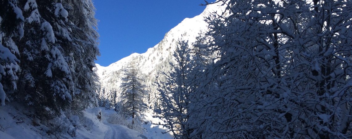 Winter in Südtirol 2016