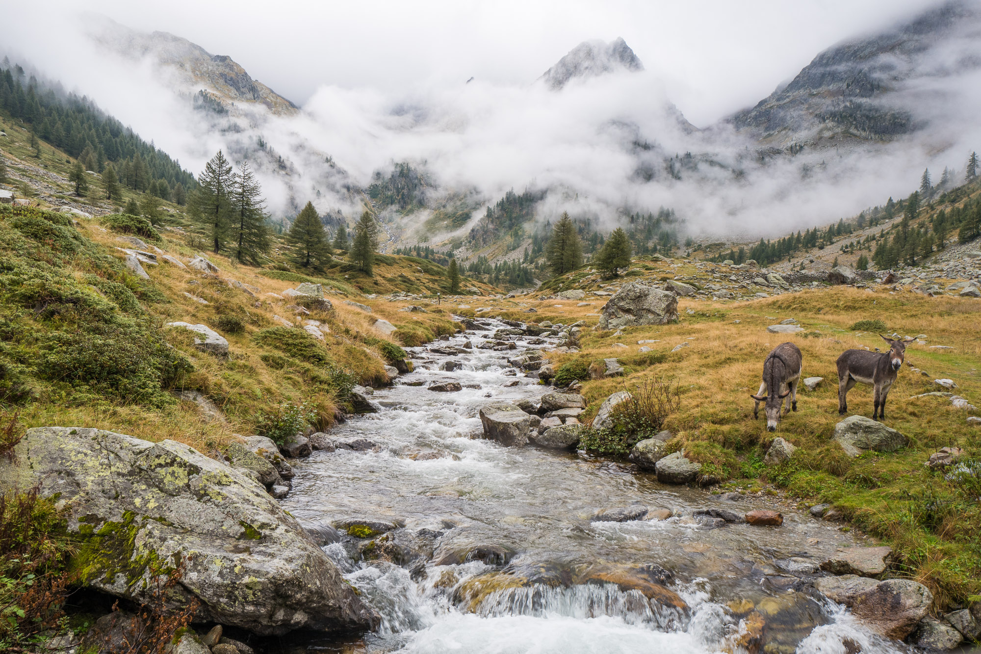 Wandertouren Valle Maira Bergerlebnis